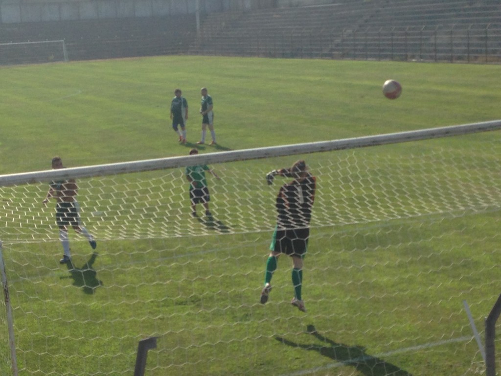 image1 (1)