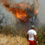 INCENDI: SALGONO A DUE I MORTI IN SARDEGNA