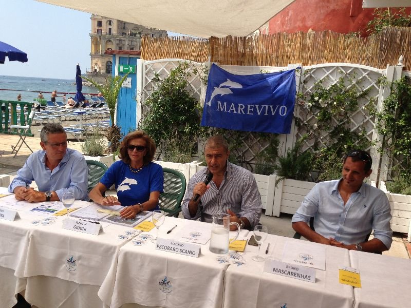 med-da-remare-2013-5