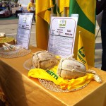 provolone falso