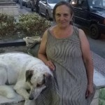 11902343_1485627038424364_4670658144627889243_n