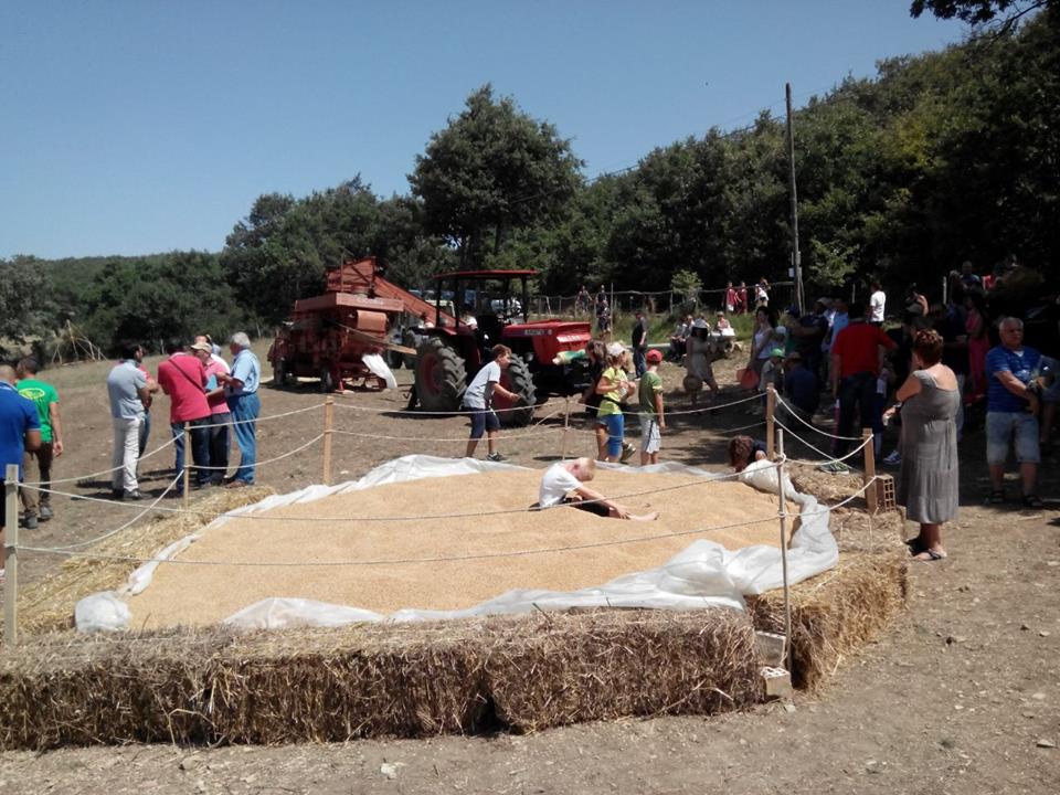 aquilonia2