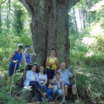 lacedonia