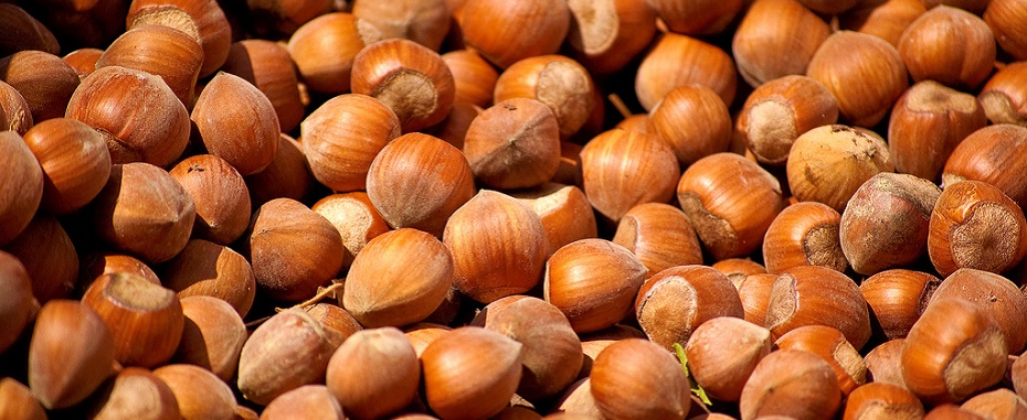 nocciole