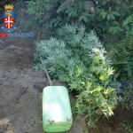 Immagine 2