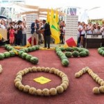 agricoltura_expo