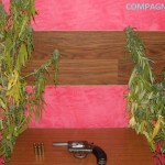 droga_armi