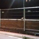 Rete ponte 2
