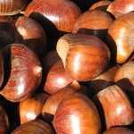 castagne-festa