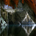 pertosa0