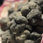 tartufo