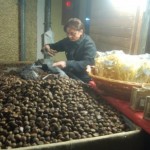 tartufo-bagnoli-irpino-2