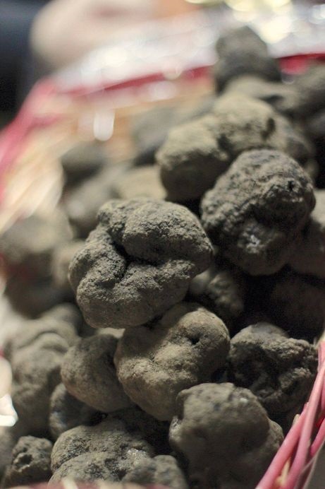 tartufo