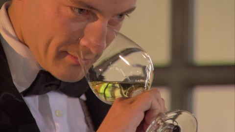 342814439-degustazione-di-vino-vino-bianco-bicchiere-da-vino-odorare
