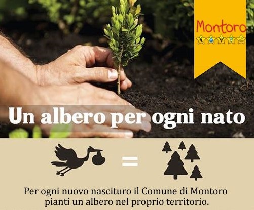 Albero-per-ogni-nato_Montoro
