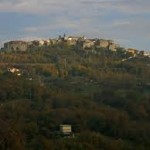 taurasi