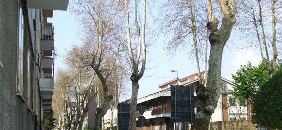 Foto 2 Via. Appia - Atripalda