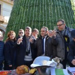 albero_natale_cava