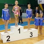 ginnastica