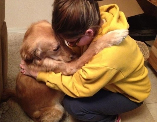 pet-therapy
