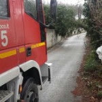 Caduta albero C.da Bagnoli Avellino