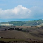 digugielmo2