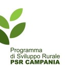 psr_campania