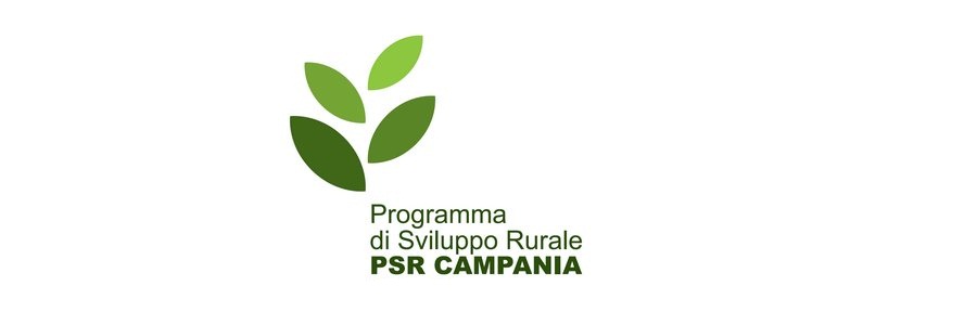 psr_campania