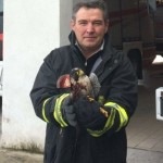vigili del fuoco