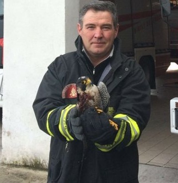 vigili del fuoco