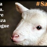animalisti