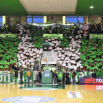 original-fans-scandone