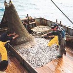 pesca