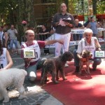 veterinari