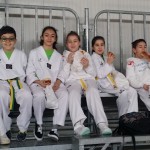 Taekwondo Saldutto