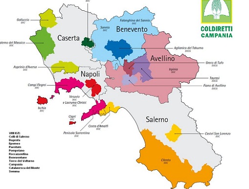 carta vini campania
