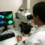 ricercatore