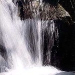 serinofoto