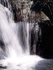 serinofoto