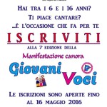 VOLANTINOGV2016
