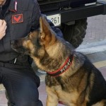 carabinieri_cinofili