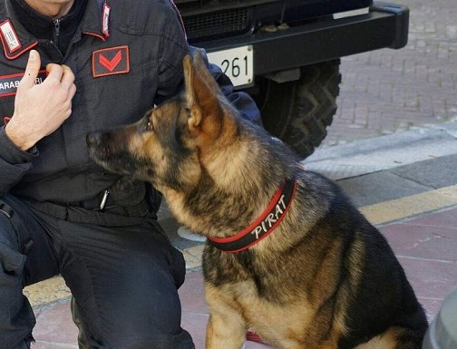 carabinieri_cinofili