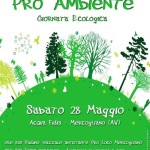 giornata ecologica