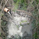 IMG-20160404-WA0007