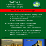 Programma Tappa 2