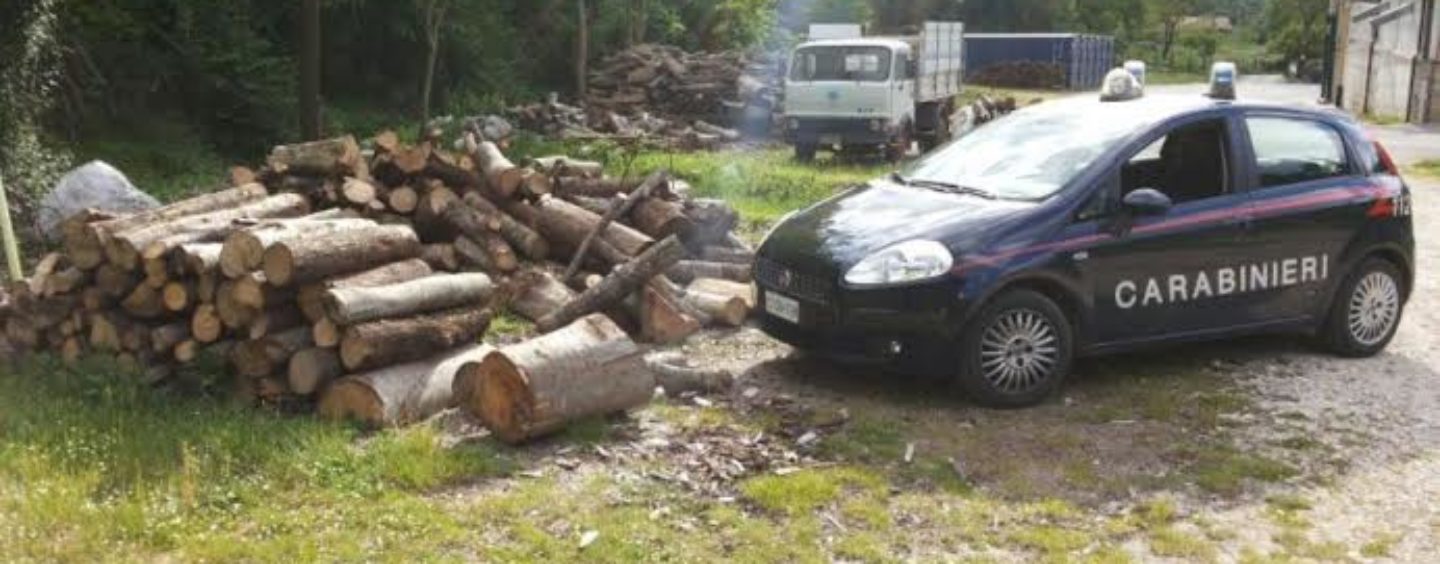 carabinieri-legna-1440x564_c