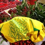 festa ciliegia chiaiano