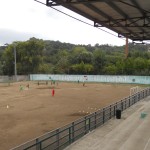 stadio-valleverde