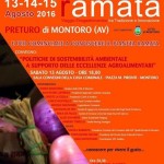 PIANETA RAMATA 2016