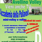 accademia della pallavolo